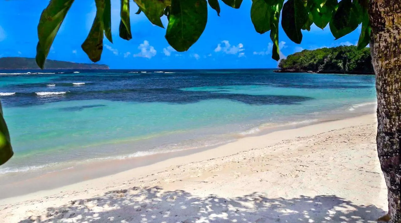 Villa Flamboyan location